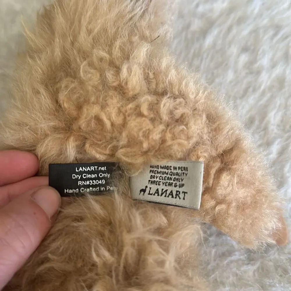 Baby paca  monkey (7003) - Picture 5 of 5